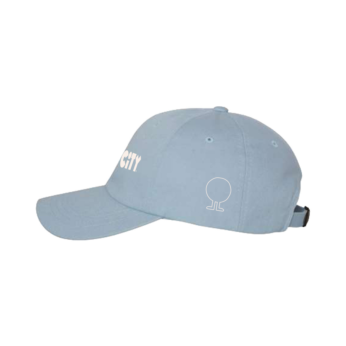 6610 1778017952 cc online dadhat side blue2